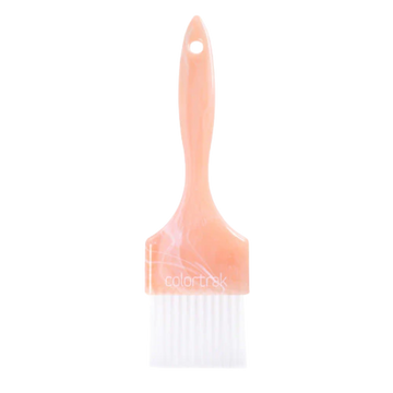 CT Canyon Paint Brush
