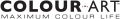 Natural Look Colour Art Logo