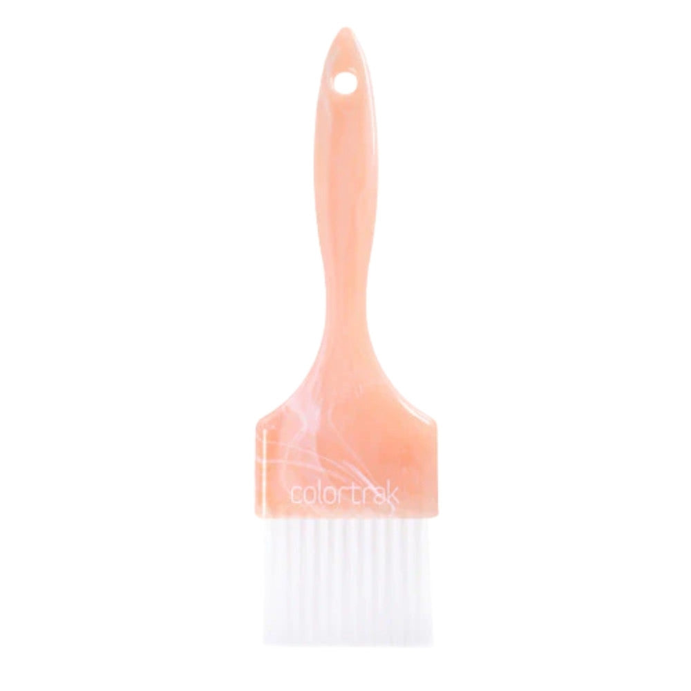 Colortrak Canyon Skies Paint Brush