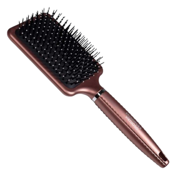 BW Virtuoso Paddle Brush