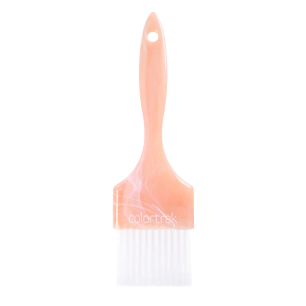 CT Canyon Paint Brush