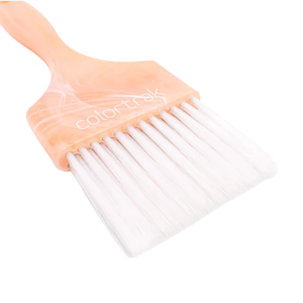 CT Canyon Paint Brush